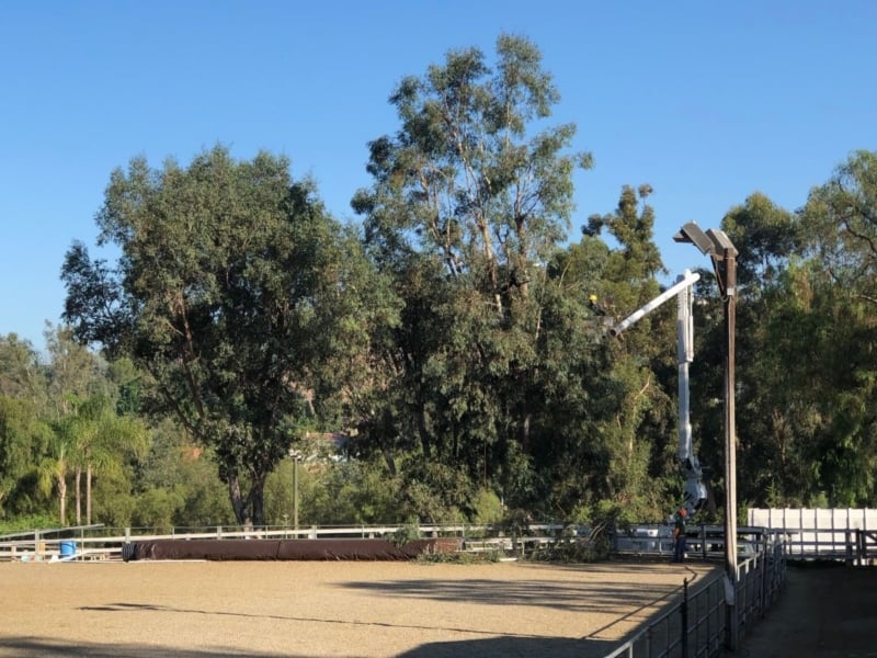 Equestrian Center Tree Trimming Nellie Gail Ranch Owners Association
