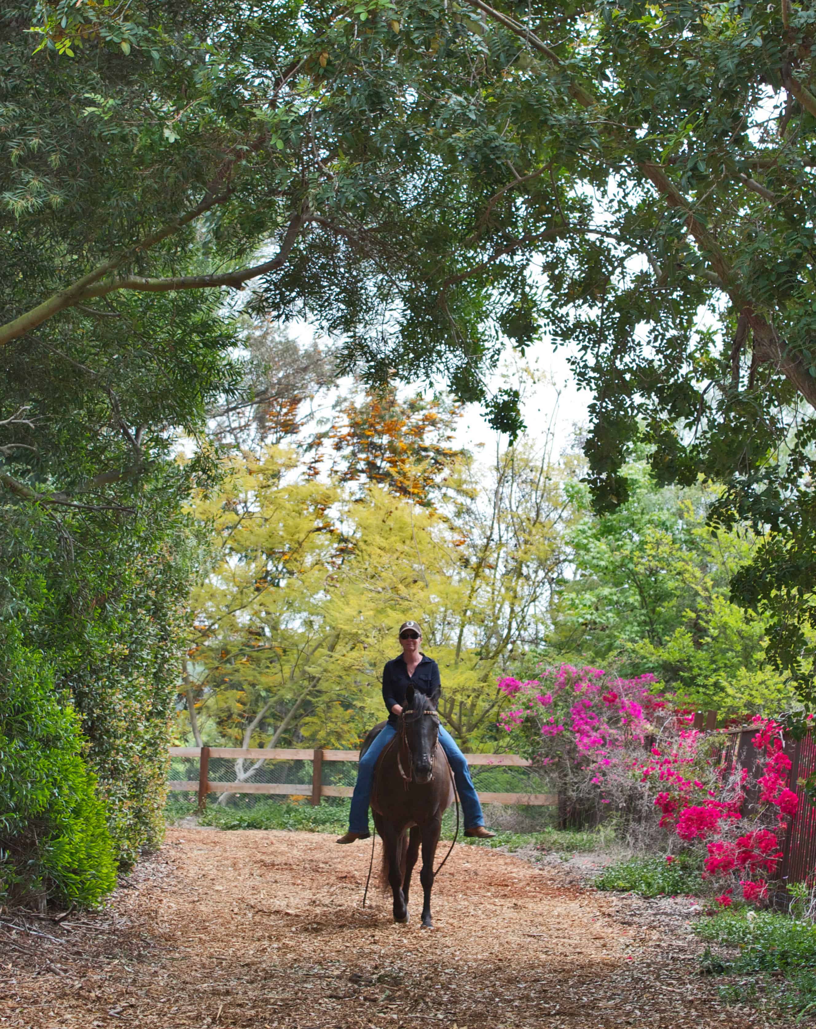 HorseRiderTrail_9481 Nellie Gail Ranch Owners Association
