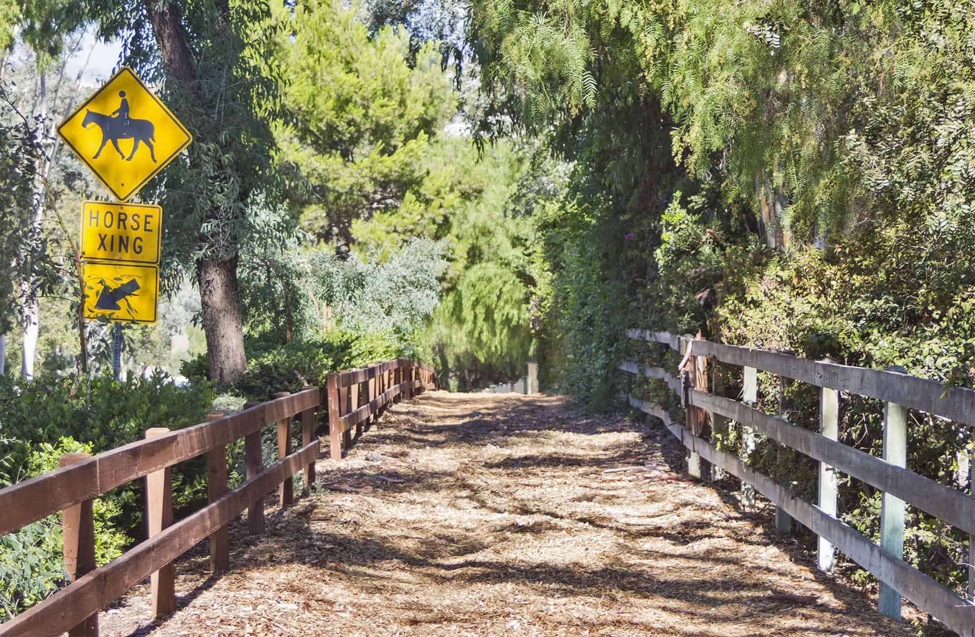 NGR_HorseTrail_9230 Nellie Gail Ranch Owners Association